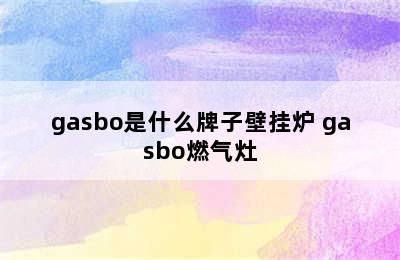 gasbo是什么牌子壁挂炉 gasbo燃气灶